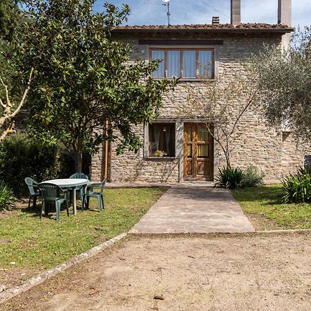 Agriturismo Il Ponte - Frantoio Vicchio Exteriér fotografie