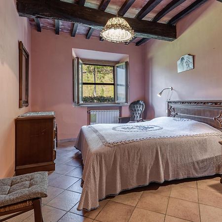 Agriturismo Il Ponte - Frantoio Vicchio Exteriér fotografie